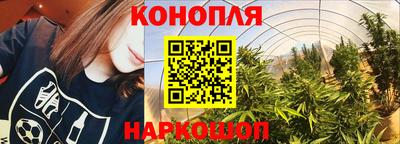 прущие крисы Пугачёв