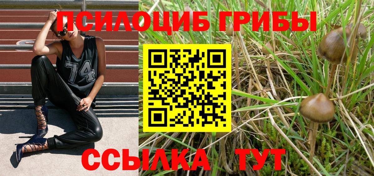 Галлюциногенные грибы ЛСД  Вход с VPN  Соль-Илецк  Галлюциногенные грибы Psilocybine cubensis 