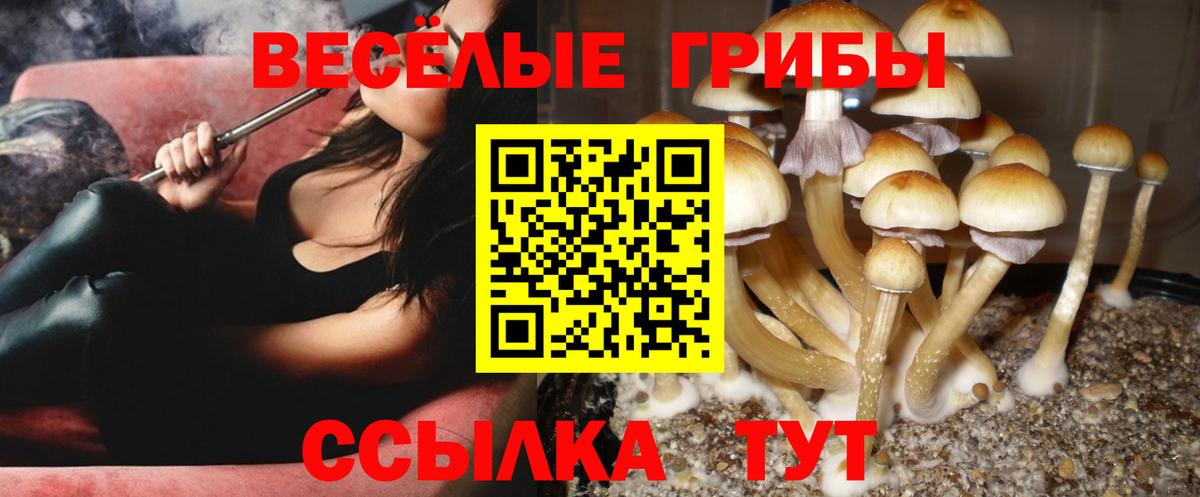 Псилоцибиновые грибы GOLDEN TEACHER Соль-Илецк